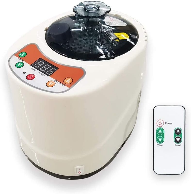 Générateur de vapeur de sauna portable moderne de 2 litres pour la maison Saunas à vapeur Spa machine pour la perte de poids de désintoxication du corps