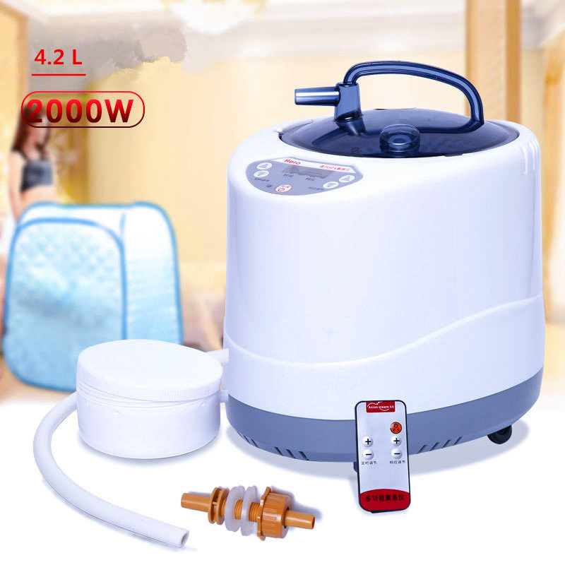 Générateur de vapeur de sauna portable moderne de 2 litres pour la maison Saunas à vapeur Spa machine pour la perte de poids de désintoxication du corps